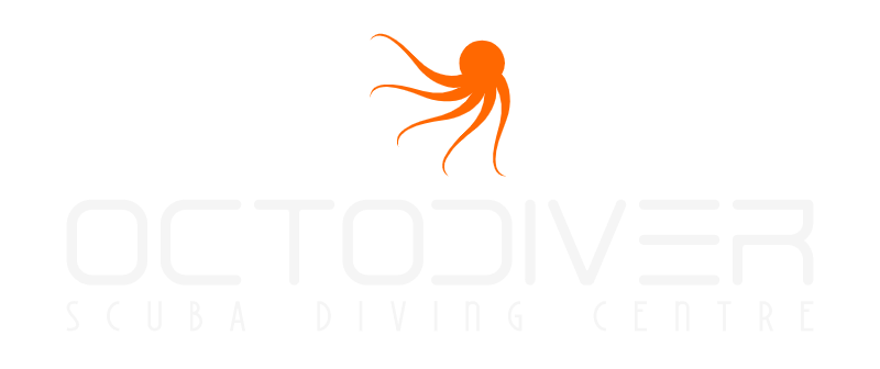 octodiver