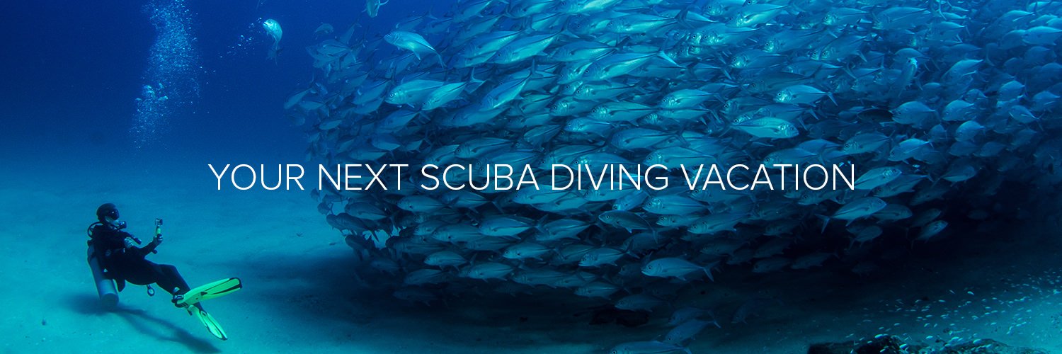 About Us Octo Diver Perhentian Island