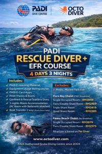 Octo DIver Perhentian Island Malaysia