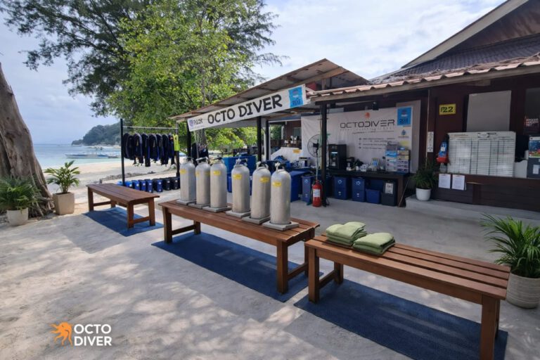 Octo Diver Perhentian Island Malaysia